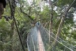 Taman Negara Adventure 